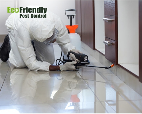 Pest Control service