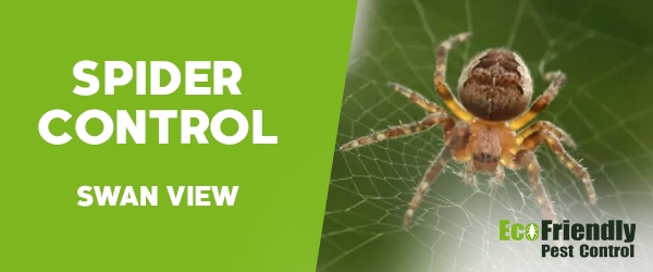 Spider Control Swan View 