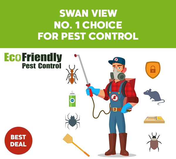 Pest Control Swan View 