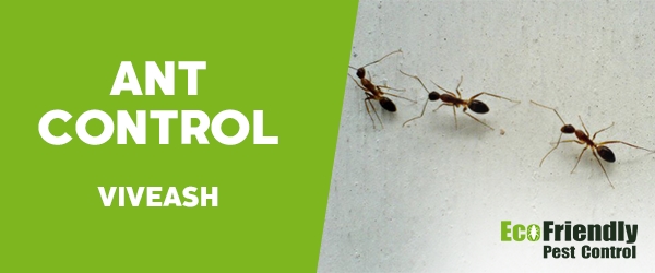 Ant Control Viveash 