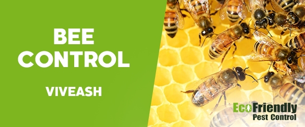 Bee Control Viveash 