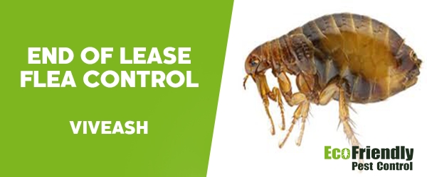 End of Lease Flea Control Viveash 