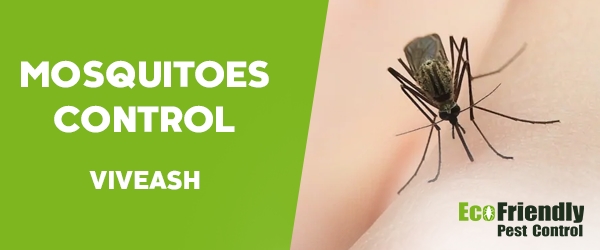 Mosquitoes Control Viveash 