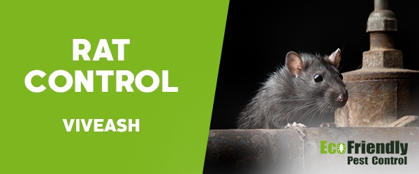 Rat Pest Control Viveash 