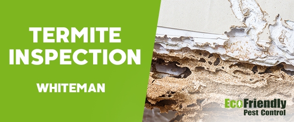 Termite Inspection  Whiteman 