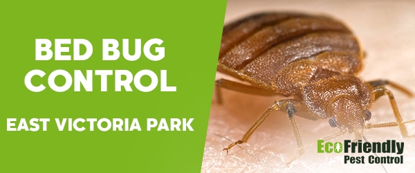 Bed Bug Control  East Victoria Park 