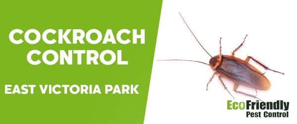 Cockroach Control  East Victoria Park  