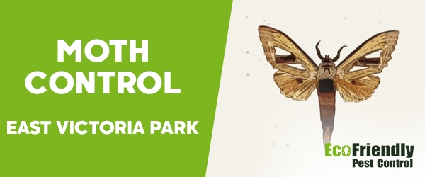 Moth Control  East Victoria Park 