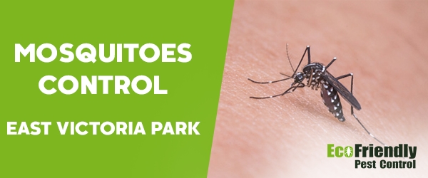 Mosquitoes Control  East Victoria Park 