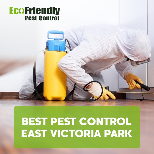 Best Pest Control  East Victoria Park 