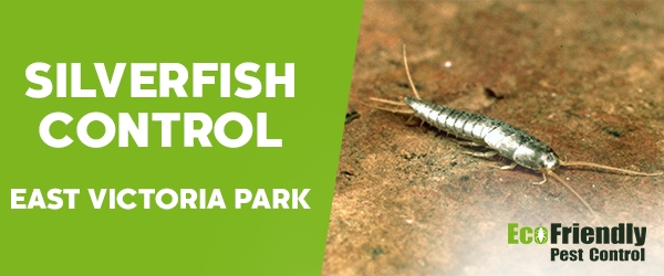 Silverfish Control  East Victoria Park 