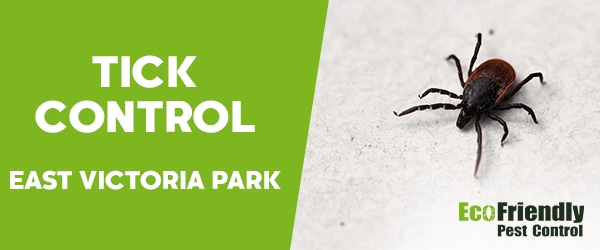 Ticks Control  East Victoria Park 