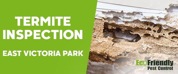 Termite Inspection  East Victoria Park 