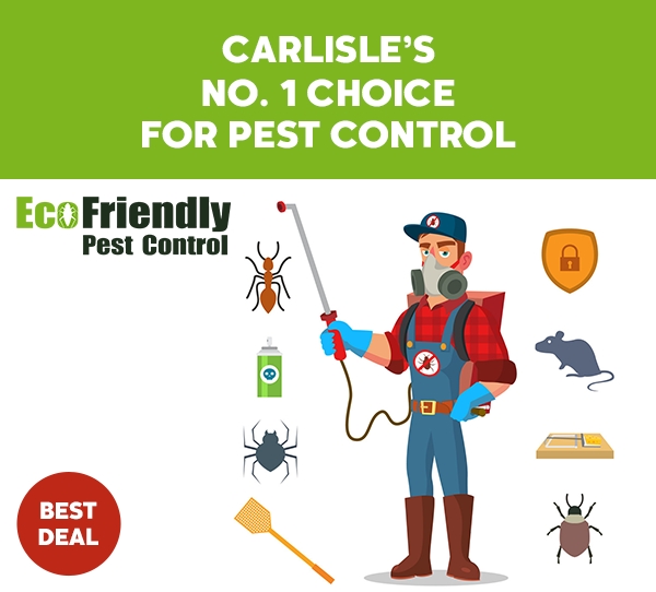 Pest Control Carlisle