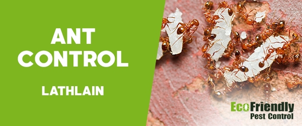 Ant Control Lathlain 