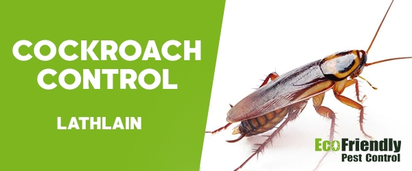 Cockroach Control Lathlain  