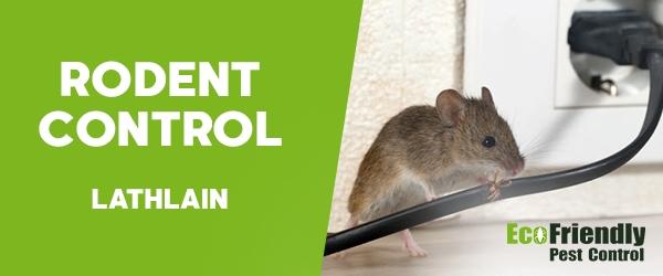 Rodent Treatment Lathlain 