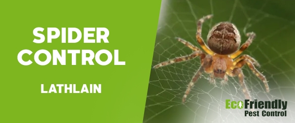 Spider Control Lathlain 