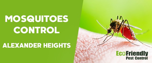 Mosquitoes Control Alexander Heights 