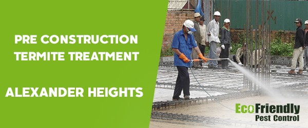 Pre Construction Termite Treatment Alexander Heights 