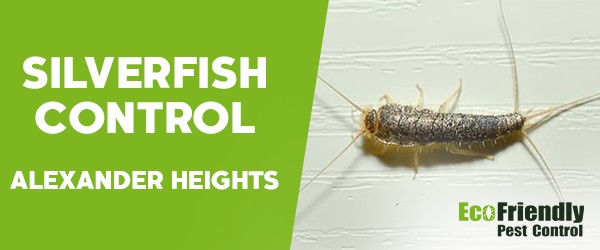 Silverfish Control Alexander Heights 