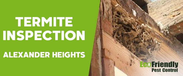 Termite Inspection Alexander Heights 