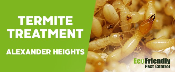 Termite Control Alexander Heights 