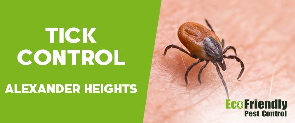 Ticks Control Alexander Heights 