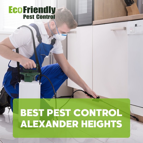 Best Pest Control Alexander Heights 