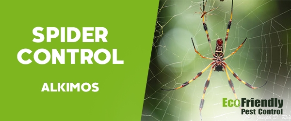 Spider Control  Alkimos 