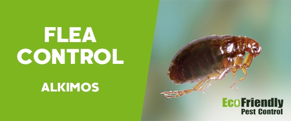 Fleas Control  Alkimos 