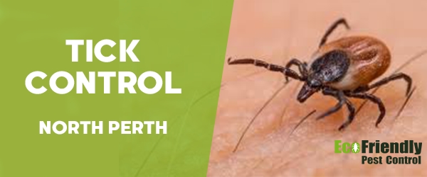 Ticks Control North Perth 