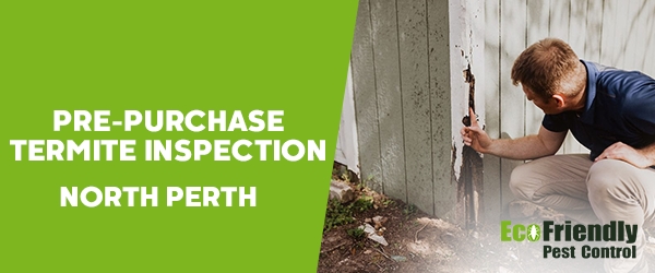 Pre-purchase Termite Inspection North Perth 