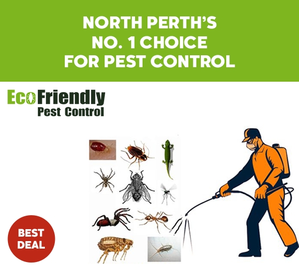 Pest Control North Perth 