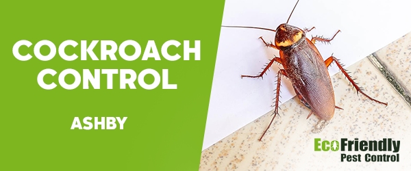 Cockroach Control Ashby  