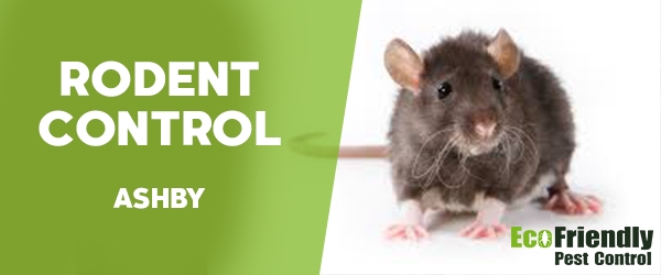 Rodent Treatment Ashby 