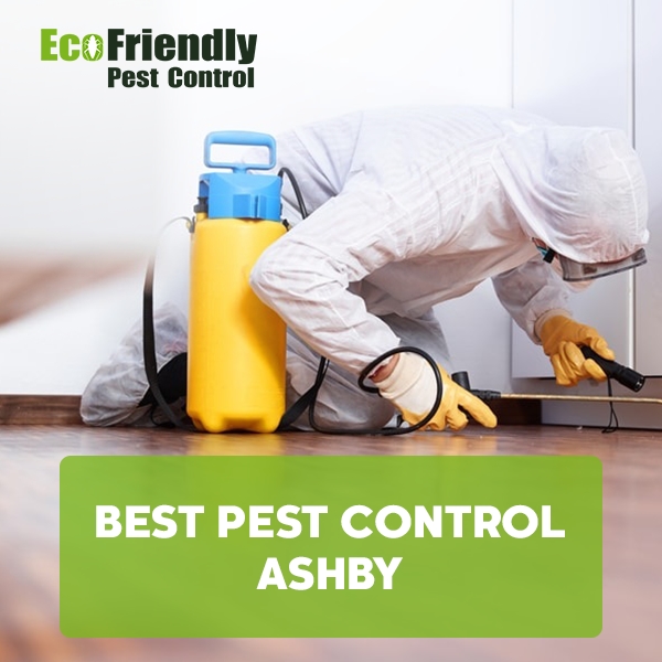 Best Pest Control Ashby 