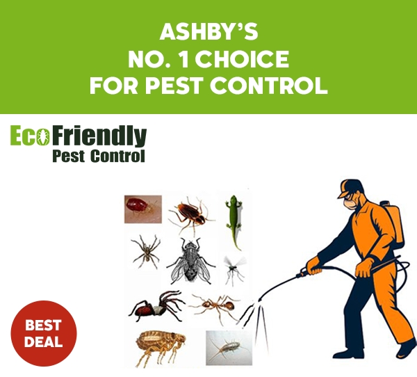 Pest Control Ashby 