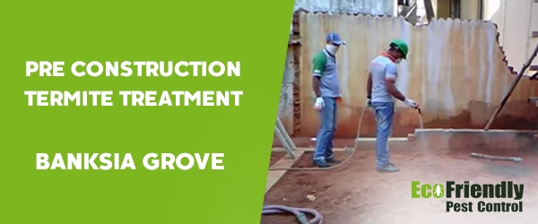 Pre Construction Termite Treatment  Banksia Grove 