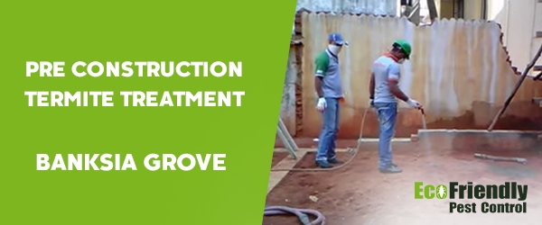 Pre Construction Termite Treatment  Banksia Grove 