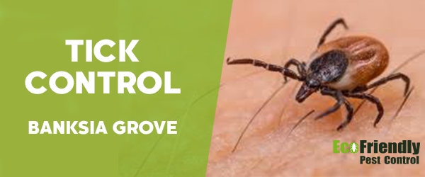 Ticks Control  Banksia Grove 