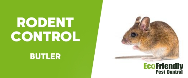 Rodent Treatment Butler 