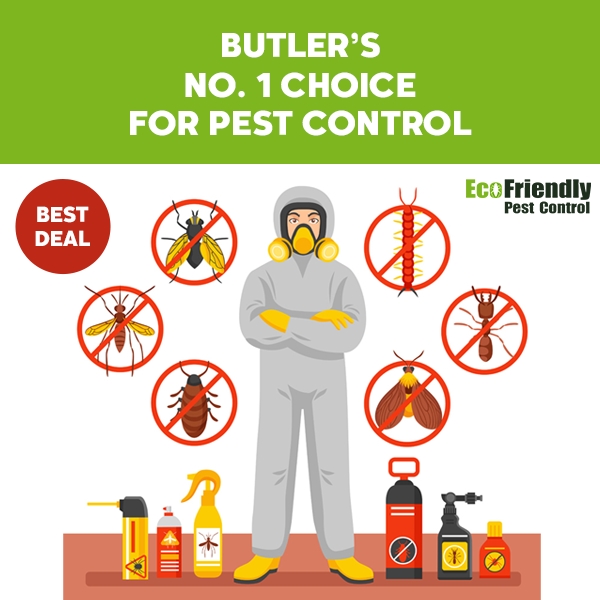 Pest Control Butler 