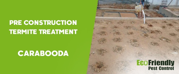 Pre Construction Termite Treatment Carabooda 