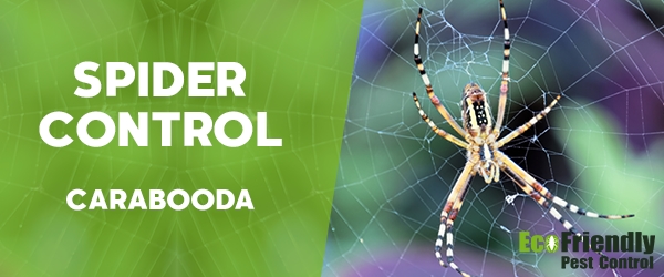 Spider Control Carabooda 