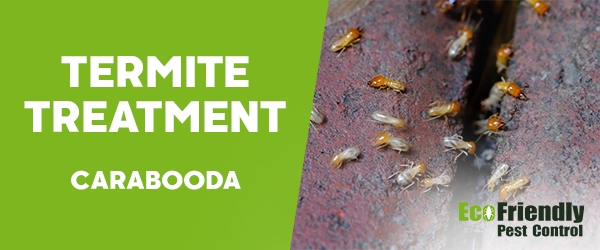 Termite Control Carabooda 