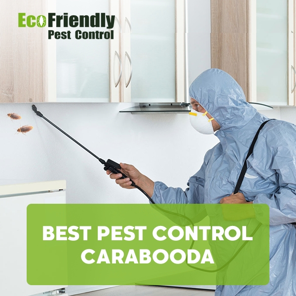 Best Pest Control Carabooda 