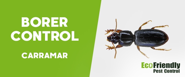 Borer Control  Carramar