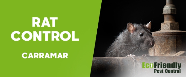 Rat Pest Control  Carramar