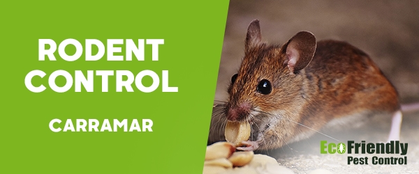 Rodent Treatment  Carramar